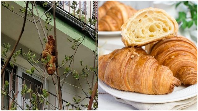 croissant-640.jpg