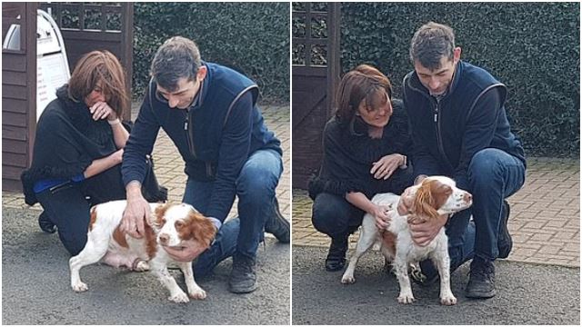 couple-reunited-dog-stolen-six-years-touching-viral-1.jpg