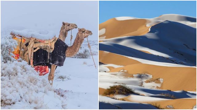 snow-sahara-desert-ice-saudi-arabia-rare-temperature.jpg