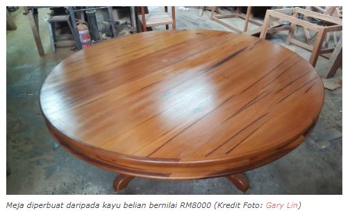 kayu ini sekeras besi, ini fakta mengenai kayu belian 