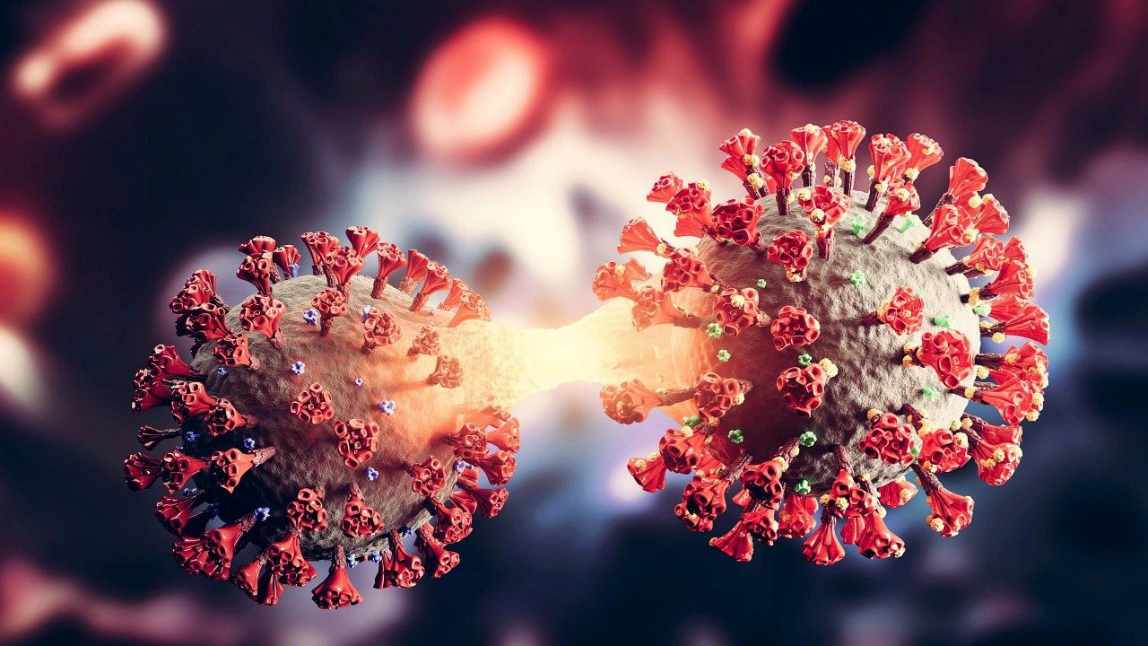 ba.2 omicron kini dominasi dunia, kes baru meningkat di beberapa negara