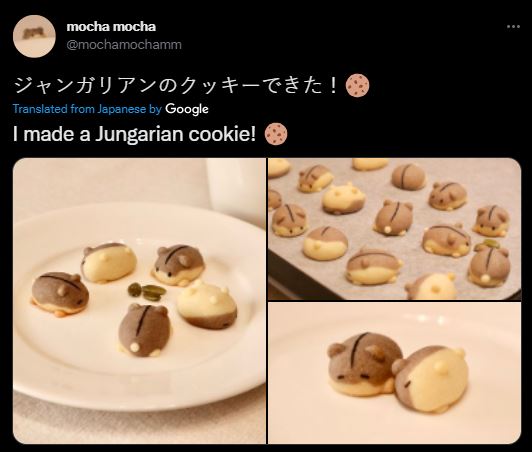 biskut hamster ini nampak terlalu comel untuk dimakan