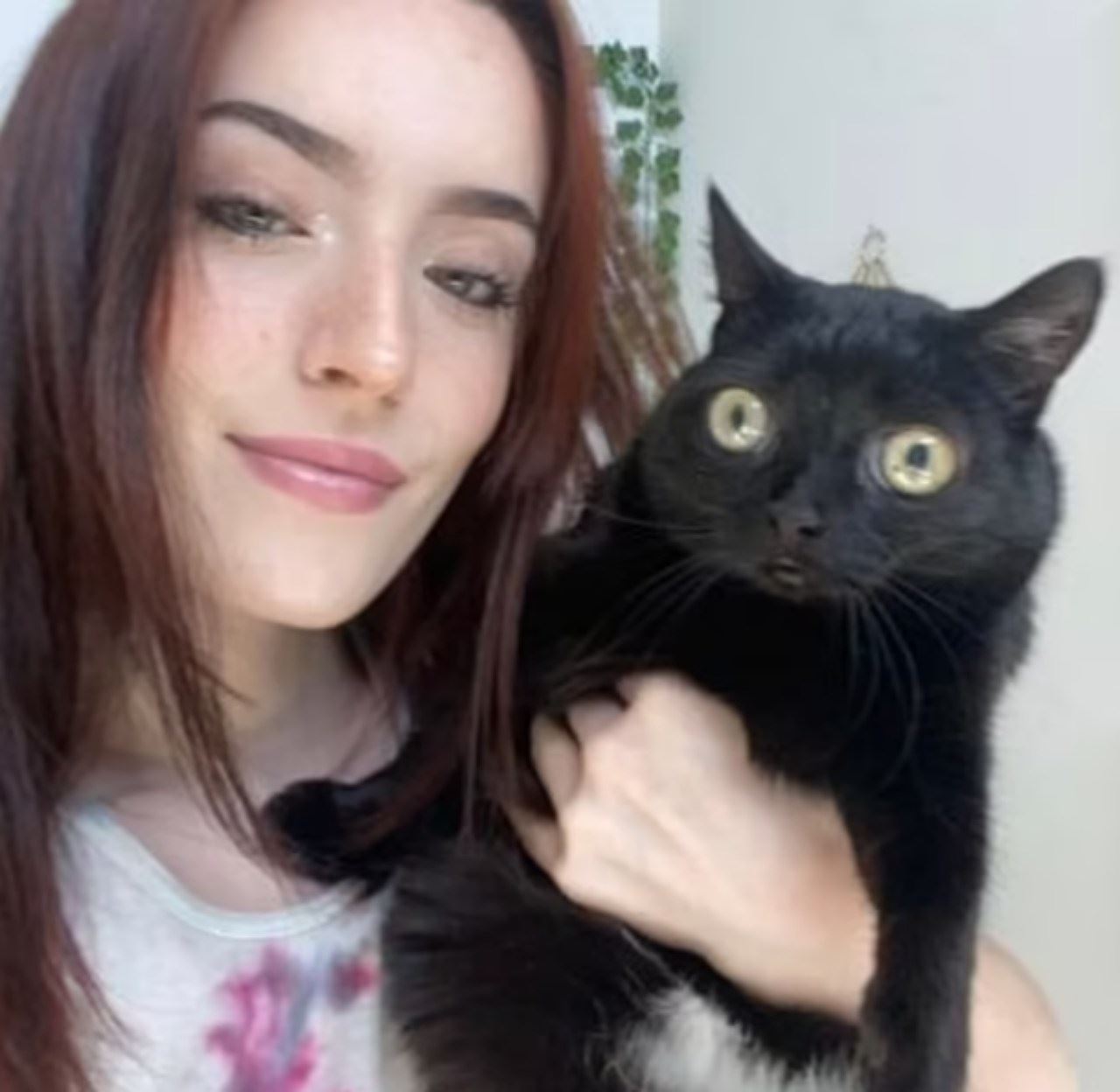 kucing hitam jadi datuk bandar di negeri dekat amerika syarikat