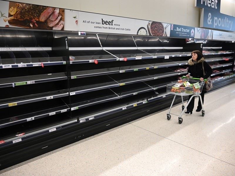 saintis ramal dunia akan kehabisan makanan tahun 2050