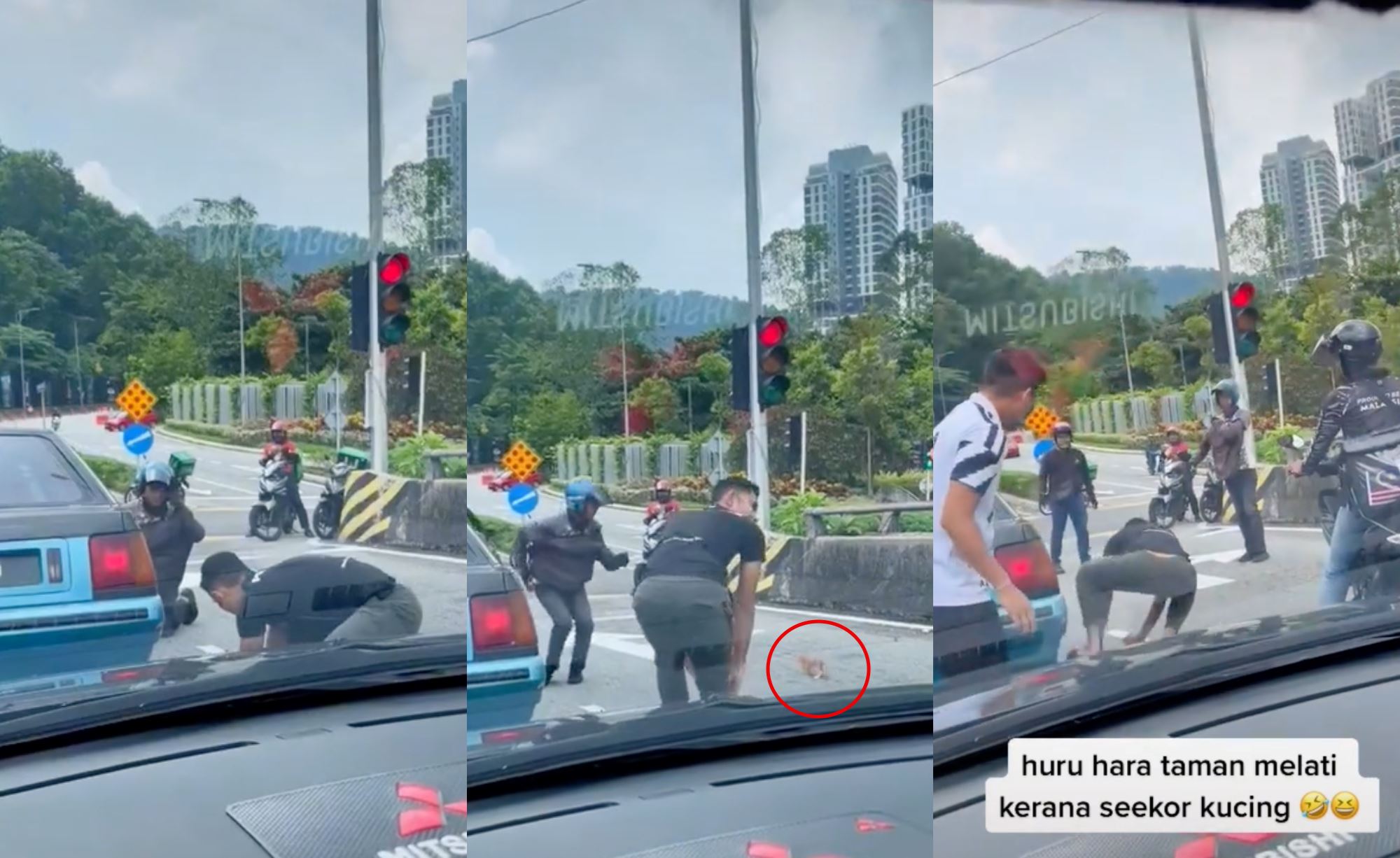 road users band together to save cat from getting run over, m’sians thanked them for their kindness! 