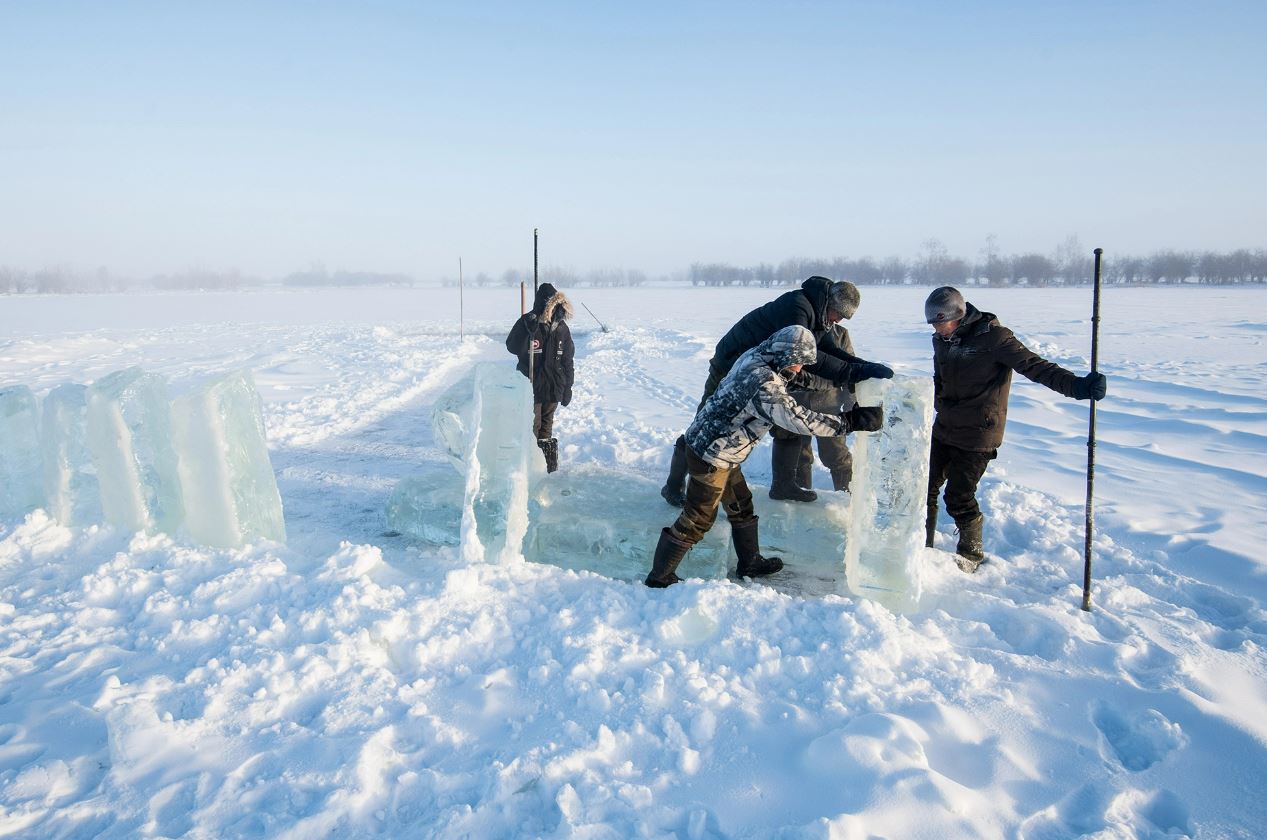 don’t panic! but scientists recently identified 48,000-year-old “zombie virus” buried in ice!