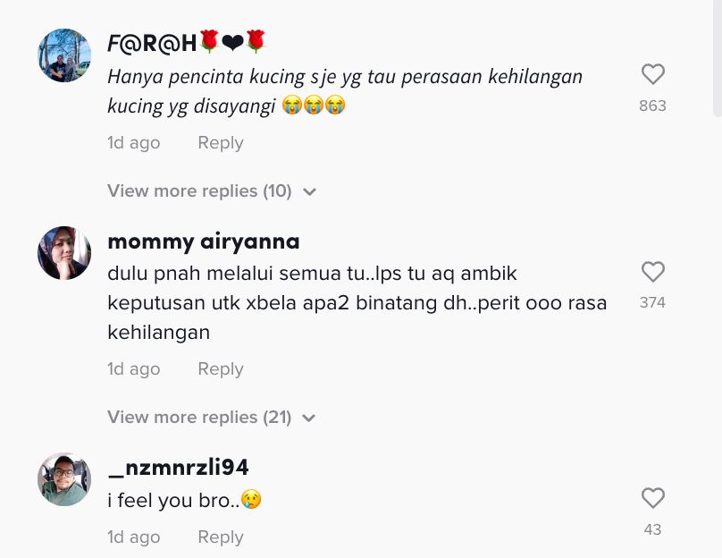 gugur air mata fendy bakry bila kucing kesayangan mati [video]