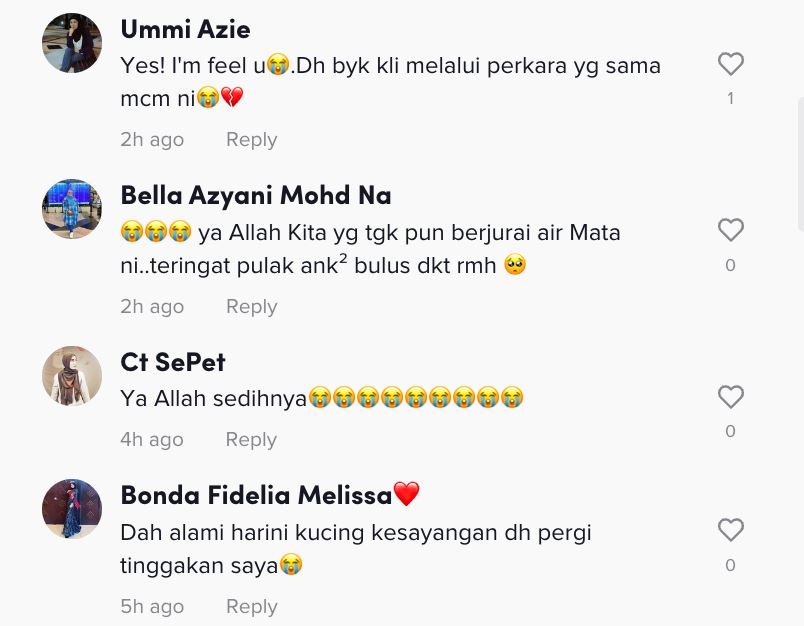 gugur air mata fendy bakry bila kucing kesayangan mati [video]