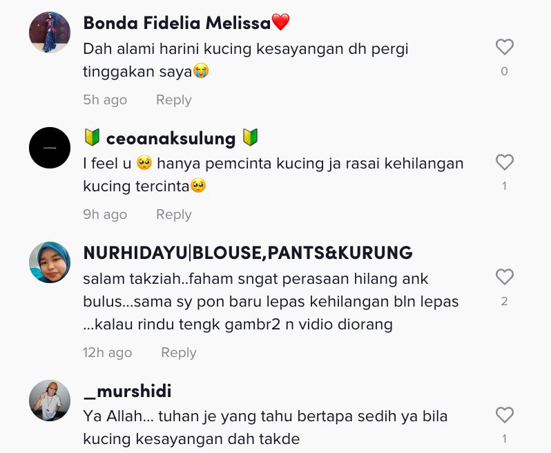 gugur air mata fendy bakry bila kucing kesayangan mati [video]