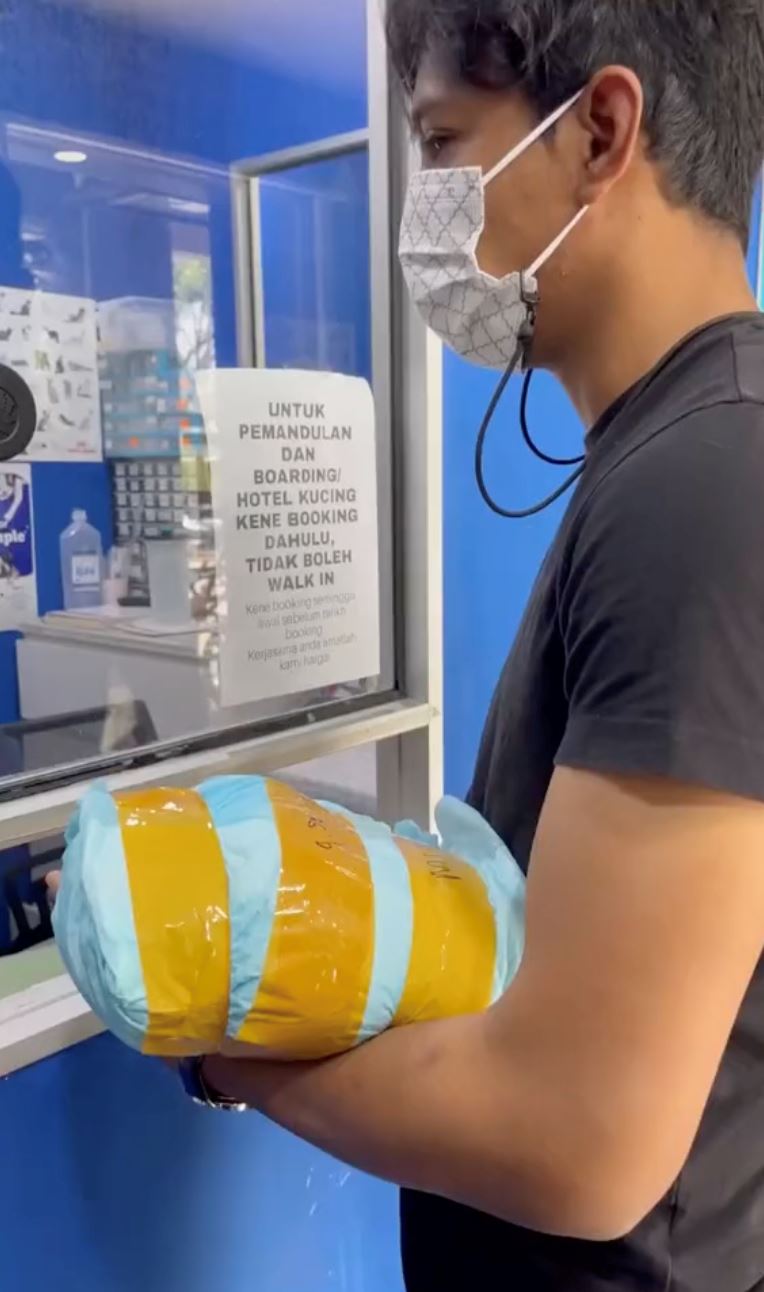 gugur air mata fendy bakry bila kucing kesayangan mati [video]