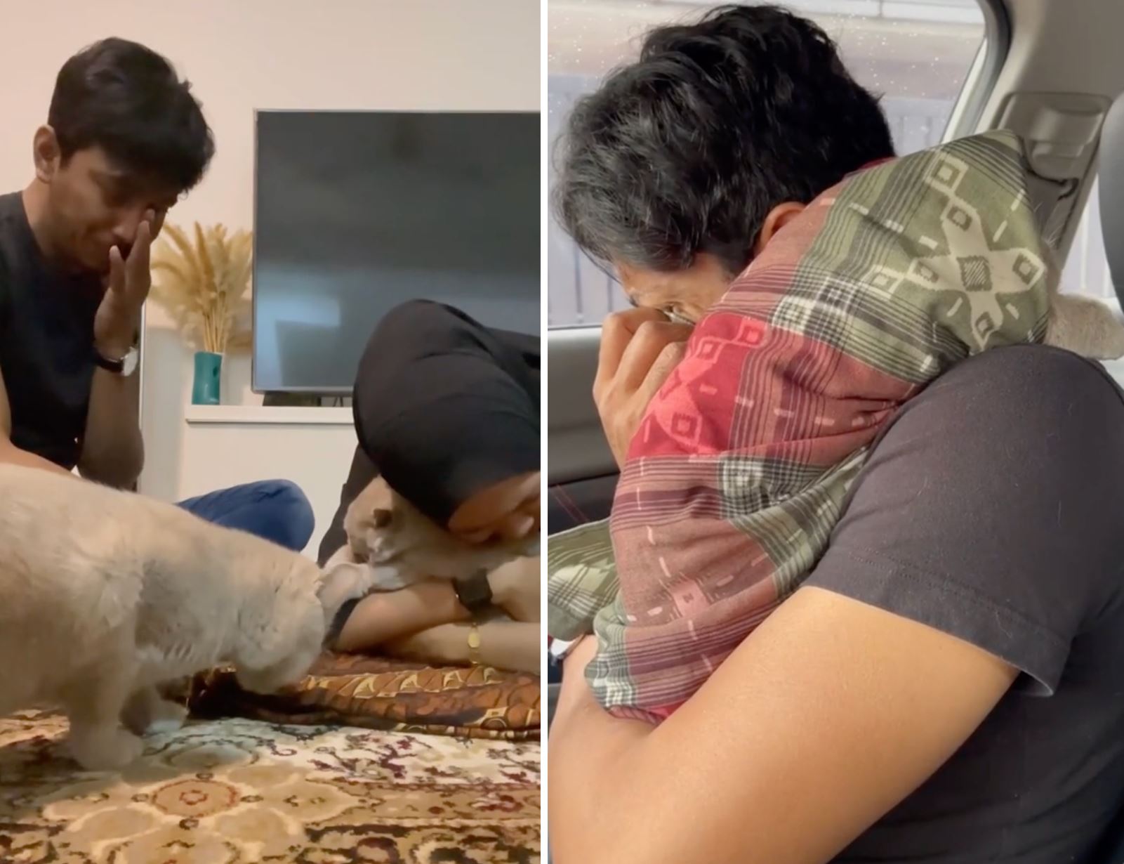 gugur air mata fendy bakry bila kucing kesayangan mati [video]