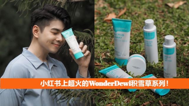 WonderDewi积雪草系列