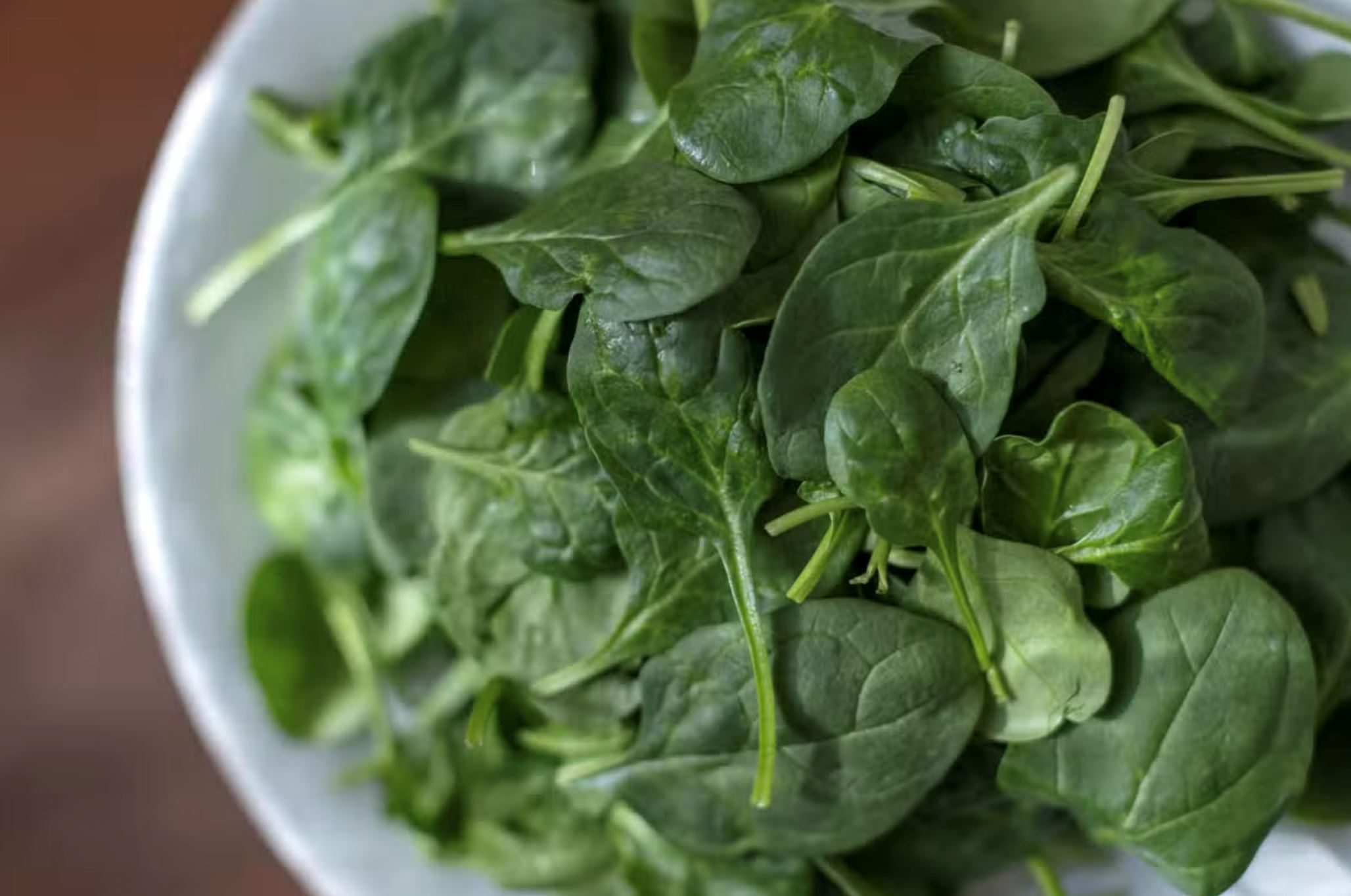 awas, bayam beracun dari australia ini sebabkan halusinasi jika di makan