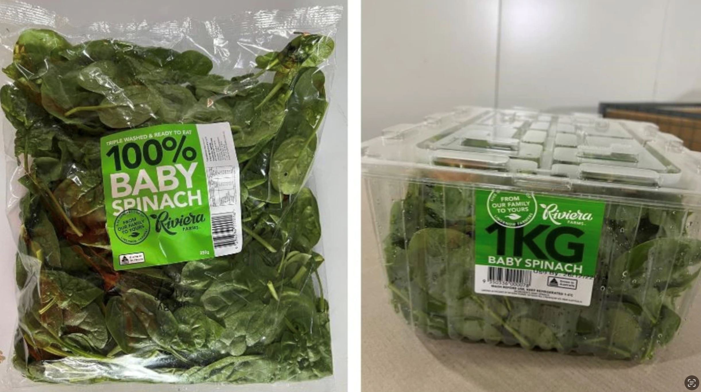 awas, bayam beracun dari australia ini sebabkan halusinasi jika di makan