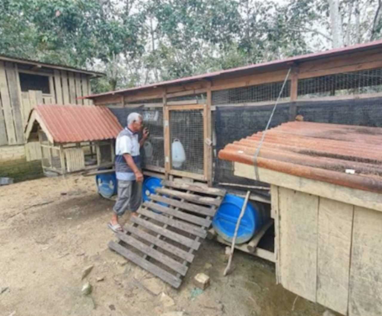dulu pernah kena ejek, rumah kelong kini terapung selamat dari banjir