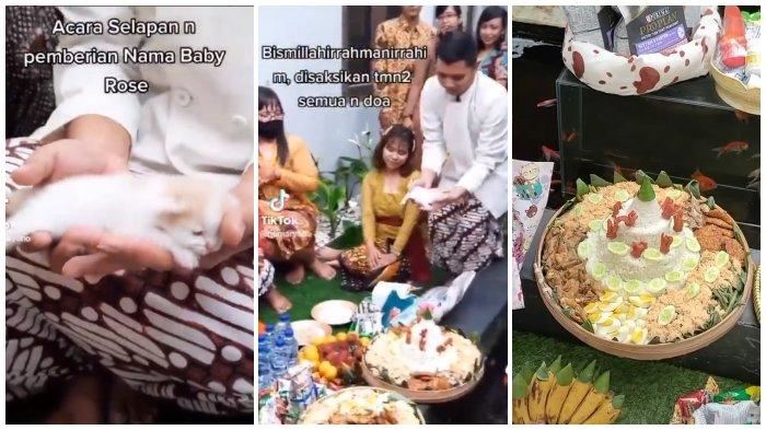 kenduri rai kelahiran anak kucing diadakan meriah
