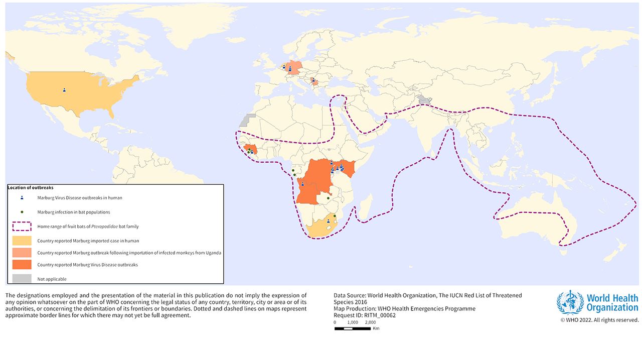 boleh bawa maut, kes pertama virus marburg disahkan di ghana