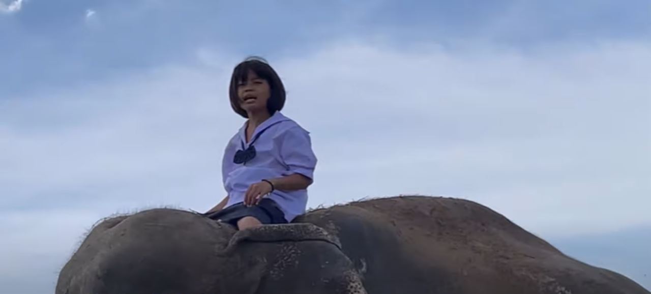 mahu jimat kos petrol, budak perempuan naik gajah pergi sekolah tiap hari