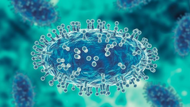 who pertimbang isytihar cacar monyet sebagai ancaman global