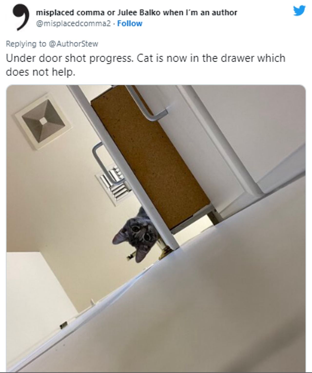 dua kucing berpakat kurung pemiliknya dalam bilik air