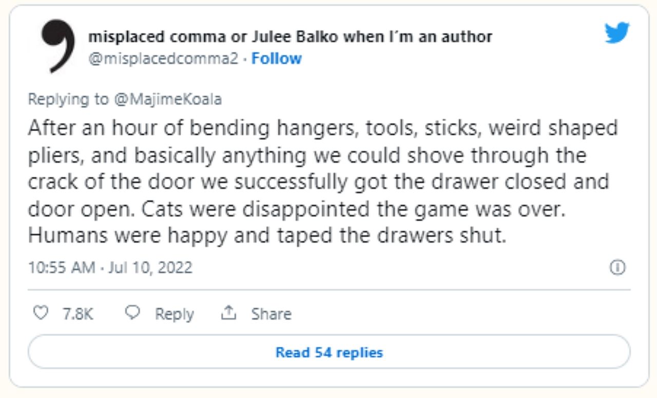 dua kucing berpakat kurung pemiliknya dalam bilik air