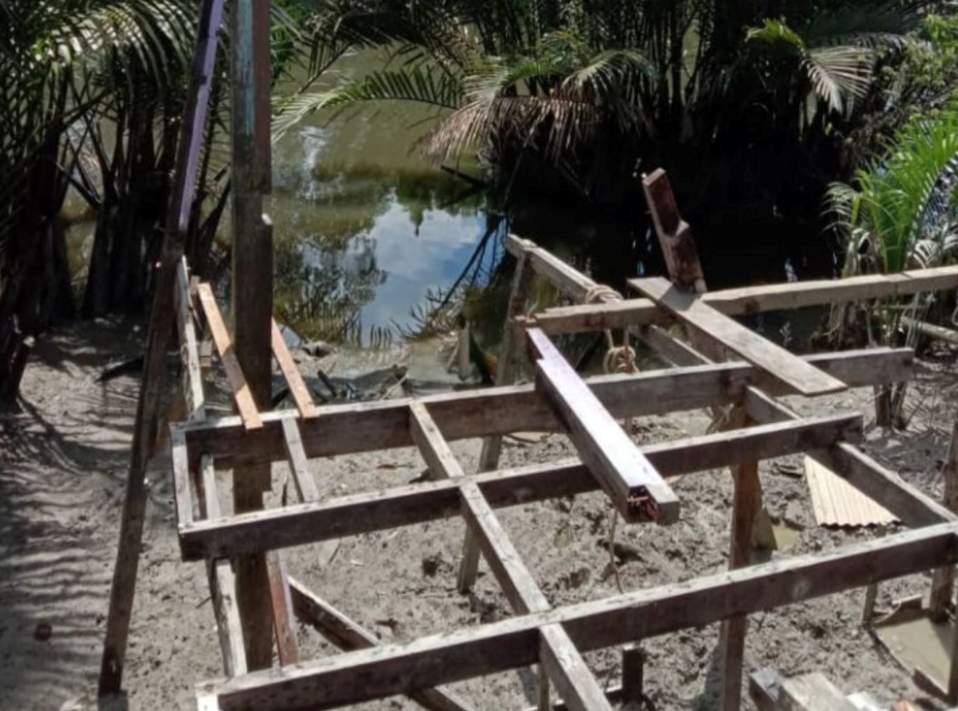 man in sarawak attacked by crocodile, slaps the reptile while trying to escape