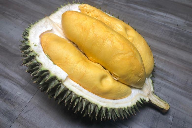 sebiji buah durian ada cukup tenaga untuk cas sebuah telefon bimbit
