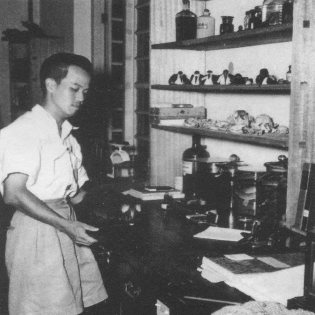 celebrating dr. lim boo liat, malaysia’s pioneering zoologist!