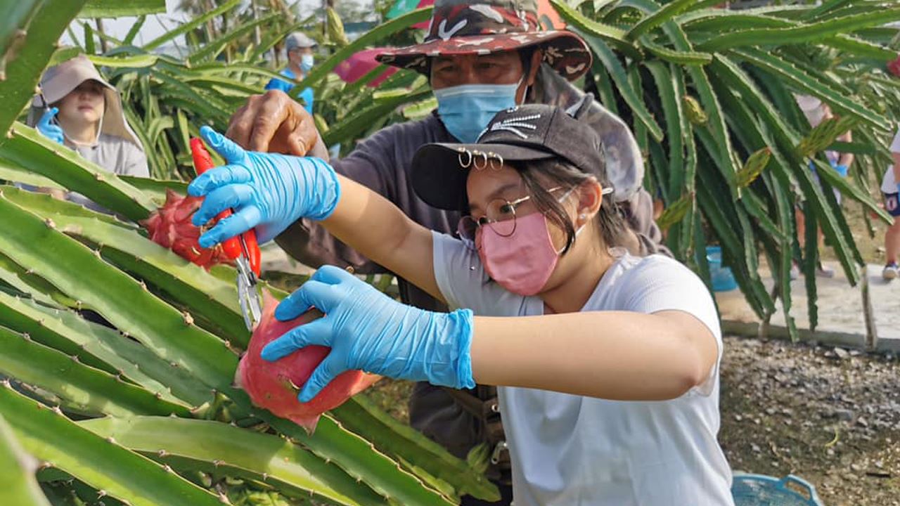 10 fun tourist attractions in selangor that your kids will thank you for!