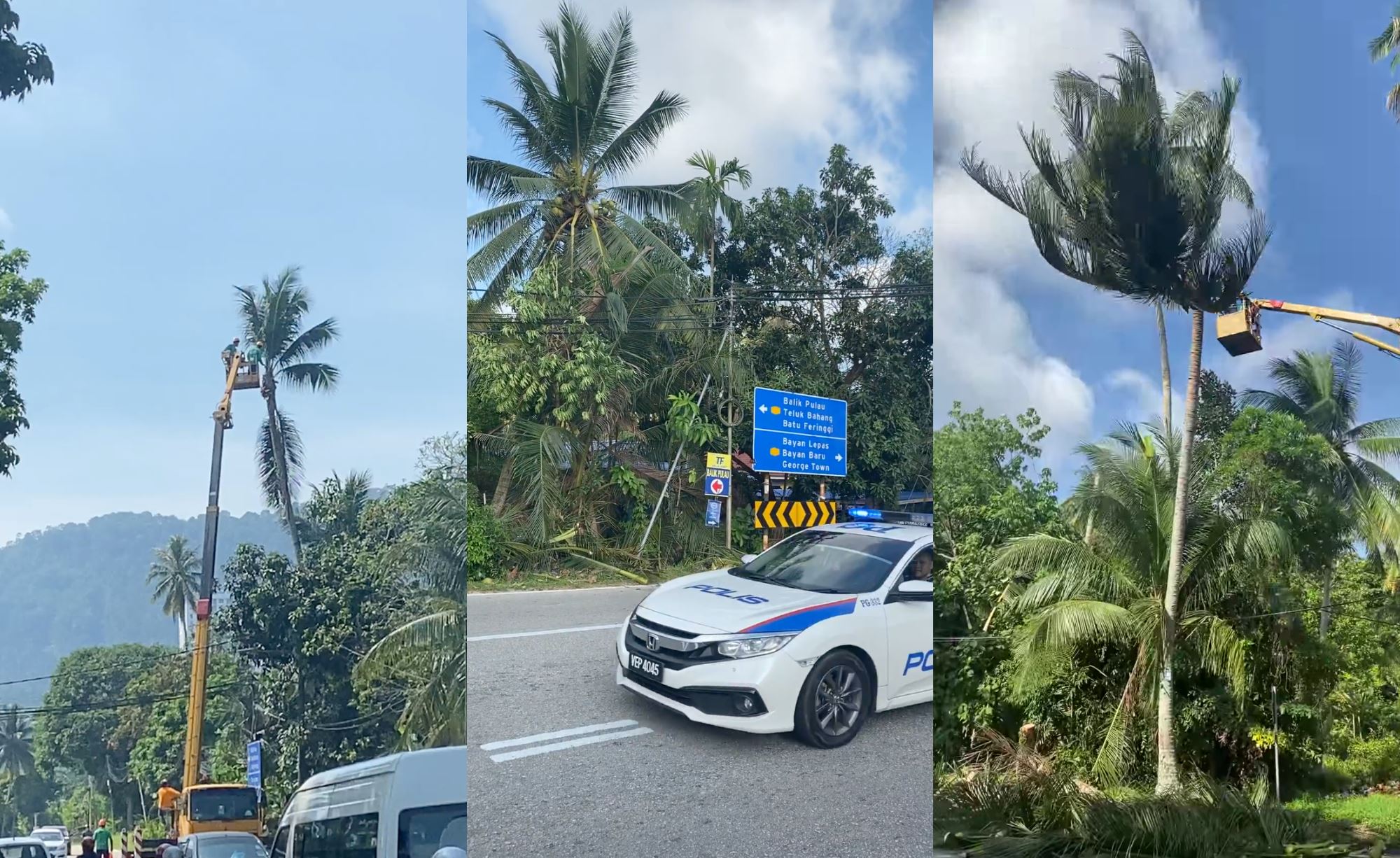 pillion rider in penang injured after coconut falls on her head!