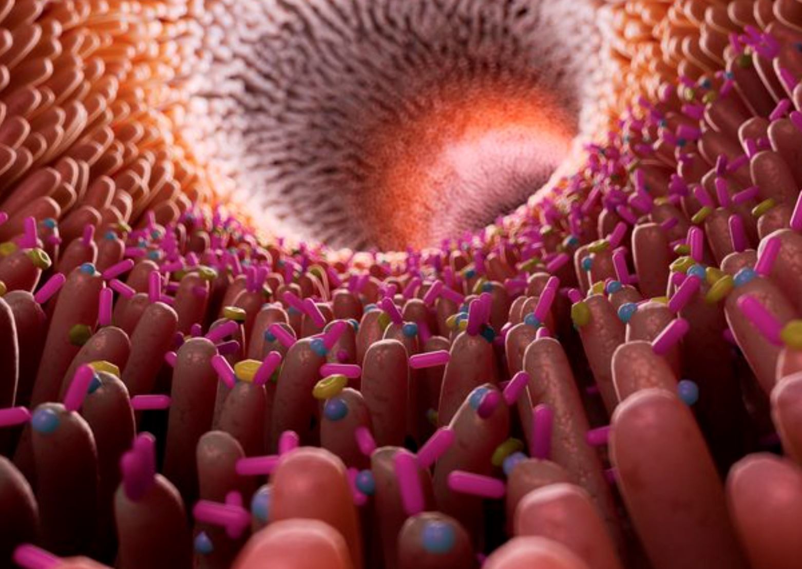 scientists discovered that humans can breathe through their bums, one day it could save your life!