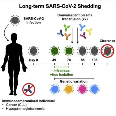 tidak perlu ujian ulangan lepas selesai kuarantin 