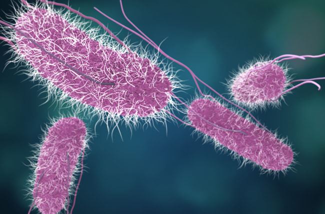 ubat demam jangan simpan lama-lama dalam peti sejuk