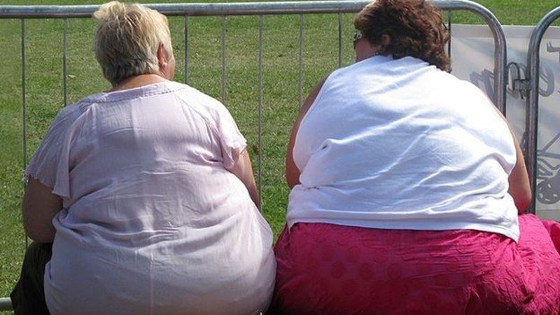 study says that more than a billion people will be obese by 2030!