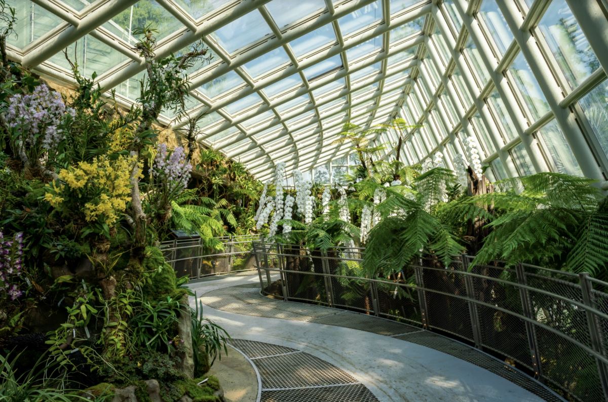 8 new exciting attractions to visit on your  first flight over to singapore