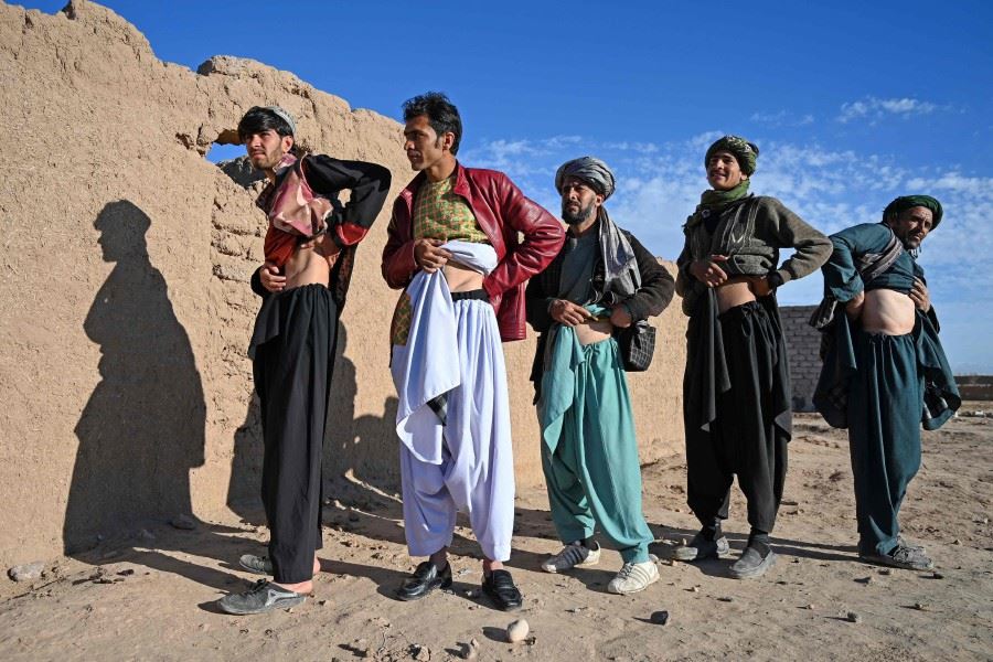 hampir semua penduduk kampung ini jual buah pinggang demi makanan