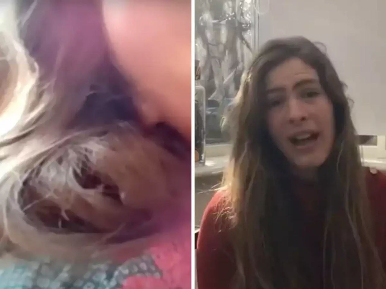 84 hari burung bersarang dalam rambut wanita ini, puncanya hanya satu