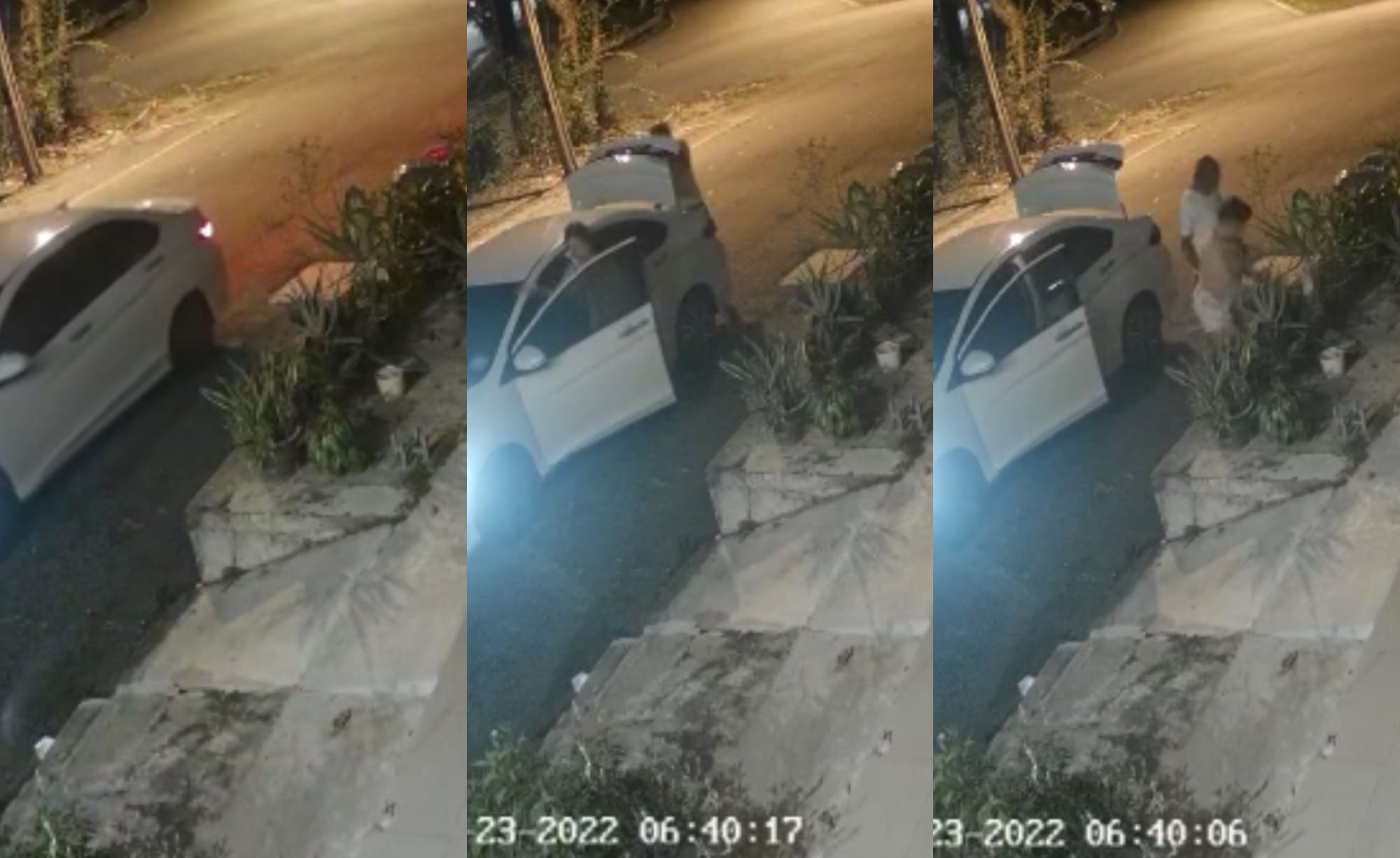 cafe in pj caught couple stealing plants on cctv, asking them to return it asap