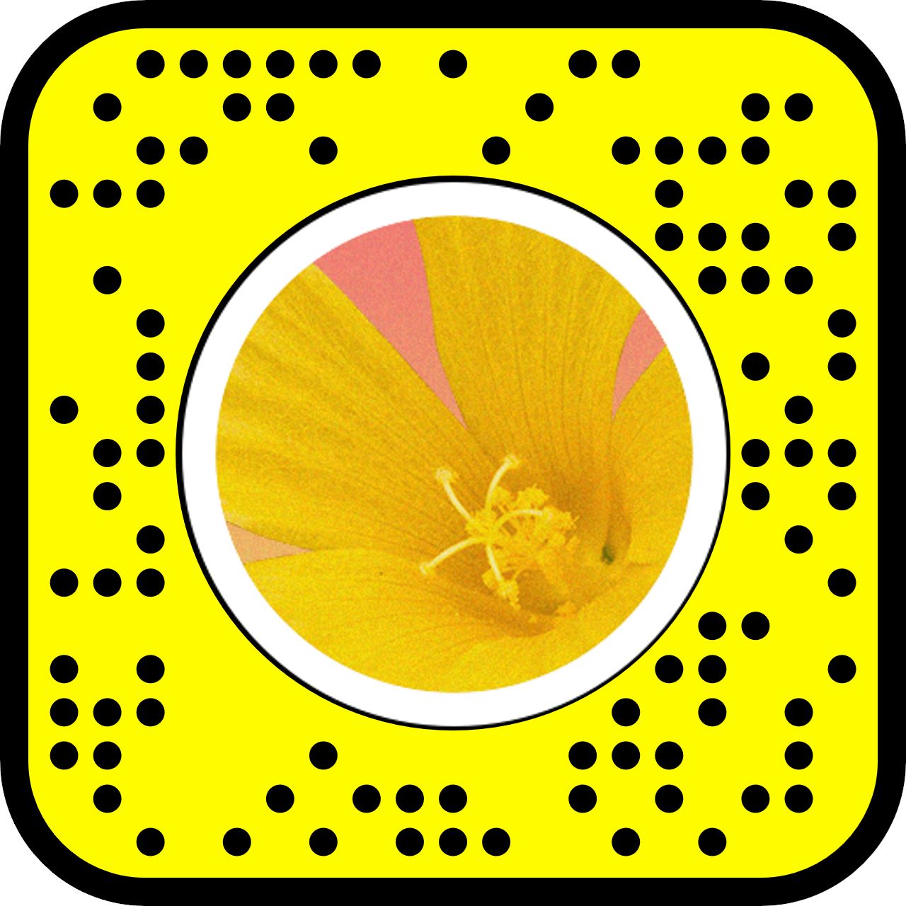 create colourful moments with friends and family this raya with snapchat lenses!