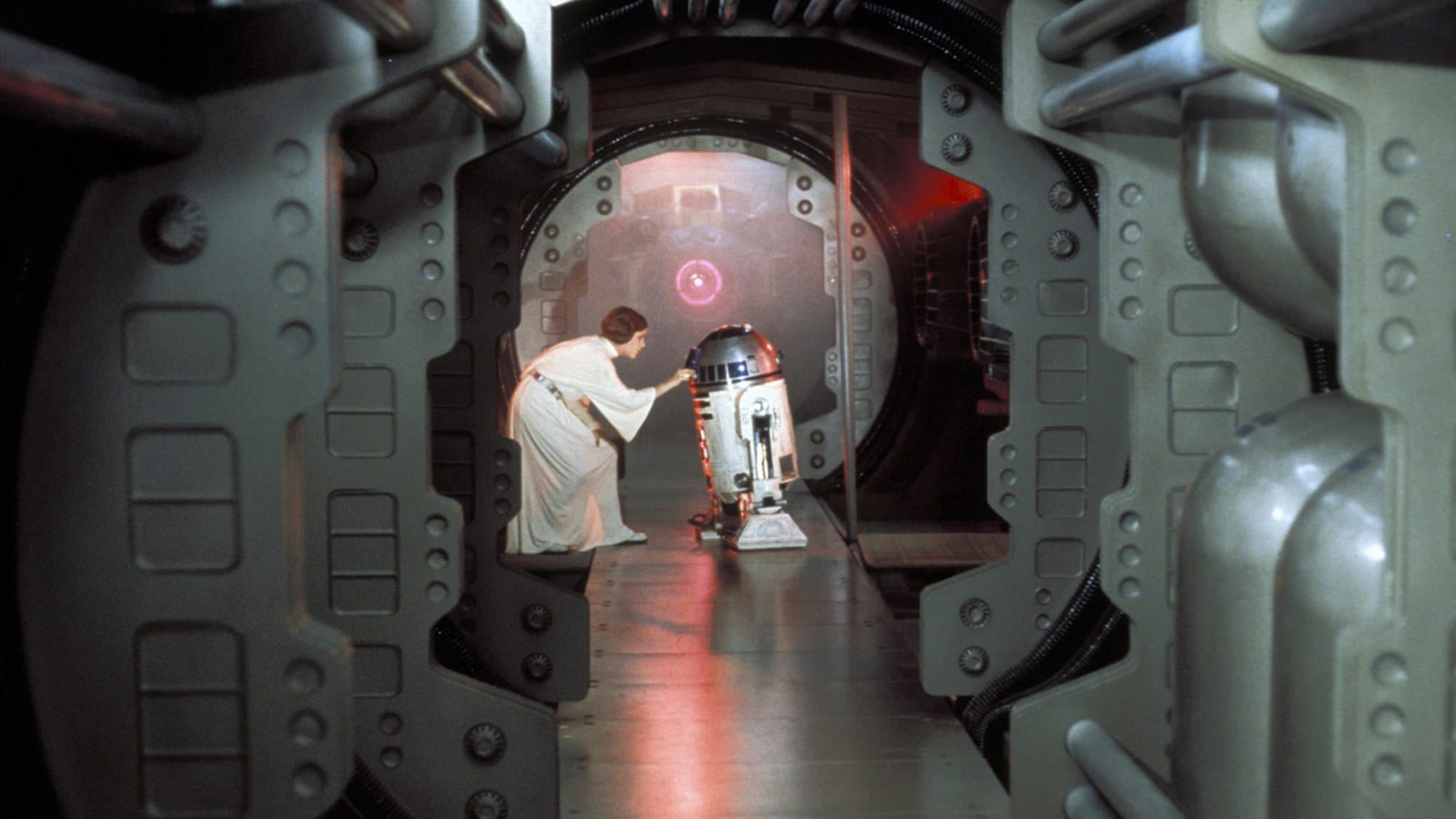 celebrate may the 4th: which star wars show should you stream, based on your personality