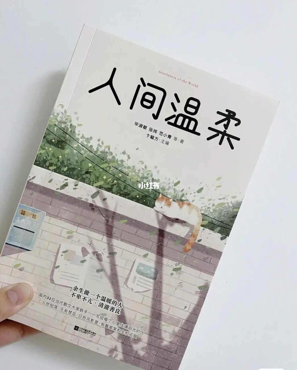 📖盘带9本治愈系书籍❗️「生的漂亮是运气，活得漂亮是选择」🌸