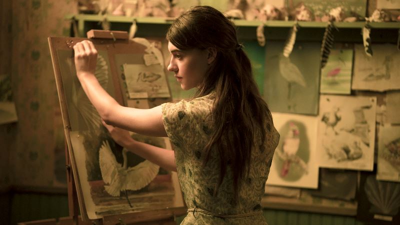 watch the new where the crawdads sing trailer!