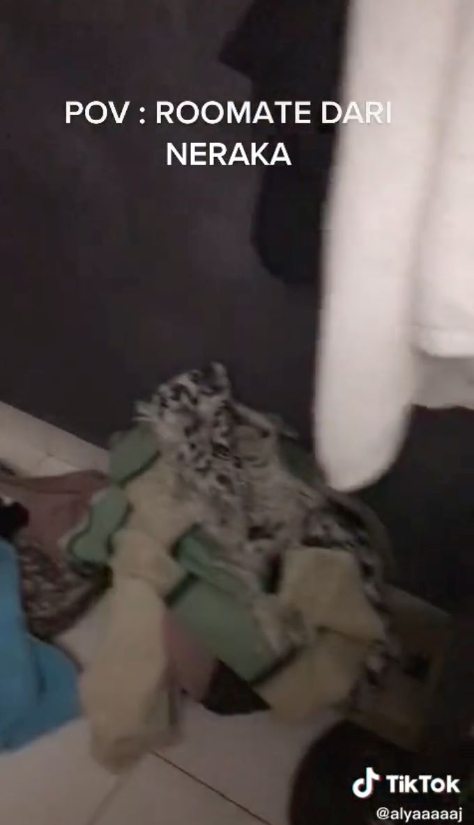 woman shares what it’s like sharing a room with messy roommate!