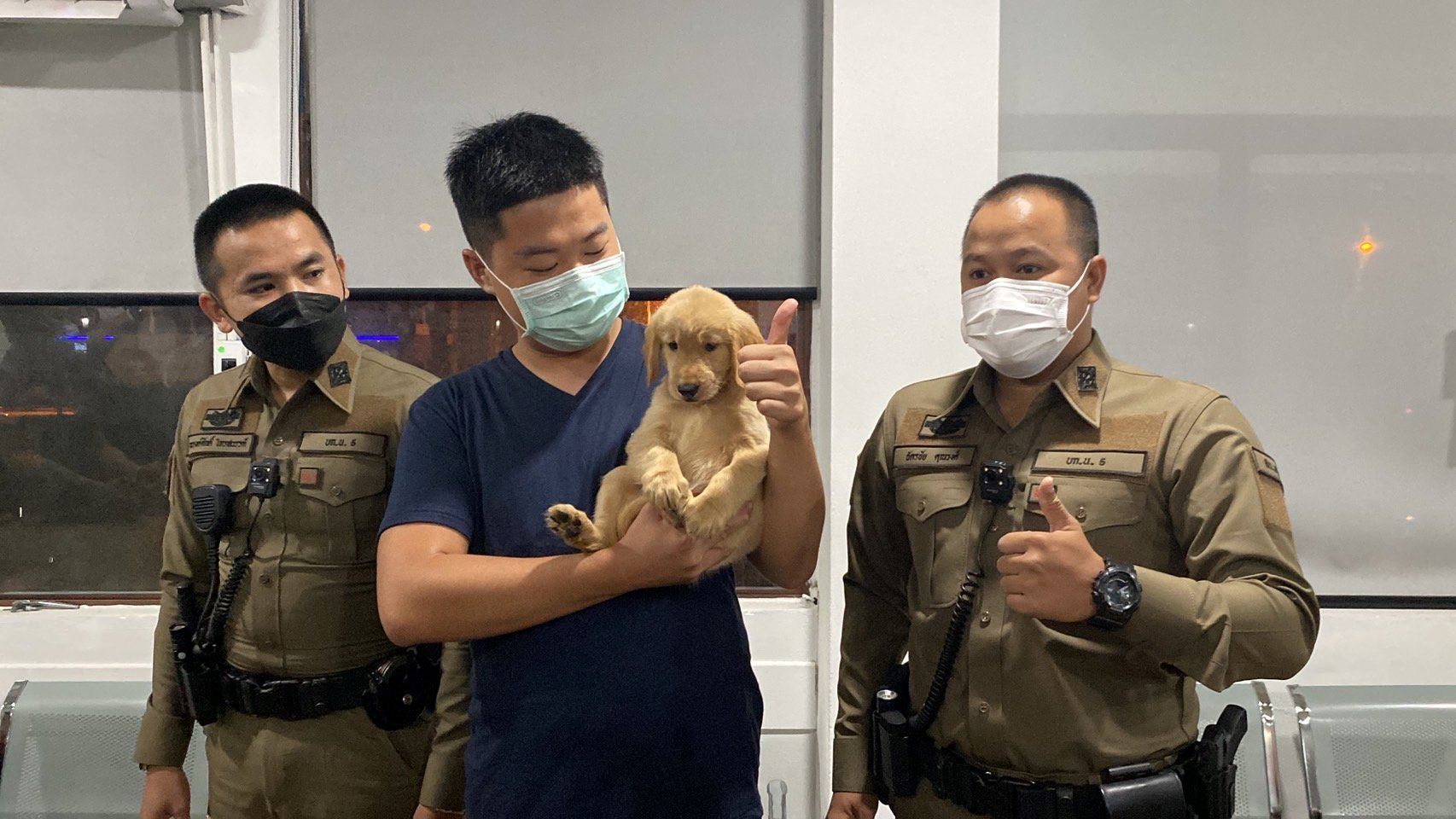 golden retriever puppy gets mughost taken at police station in thailand, “charged” for getting lost! 