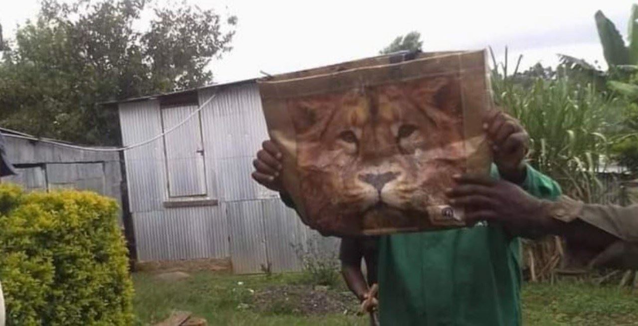 penduduk gempar ingatkan singa dalam semak, rupanya beg!