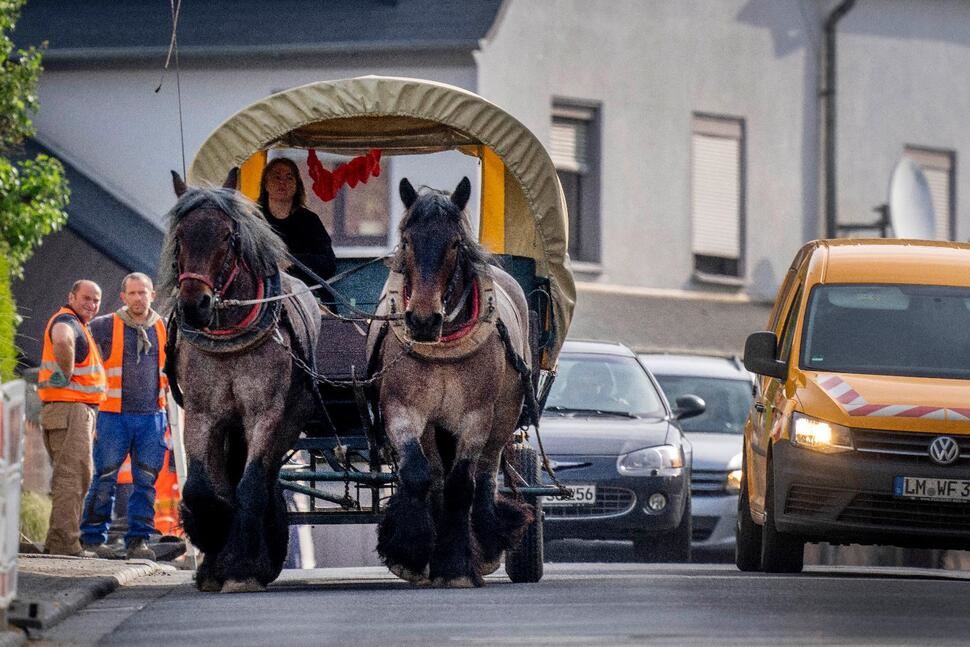 minyak makin mahal, wanita ini pilih kereta kuda ganti suv miliknya