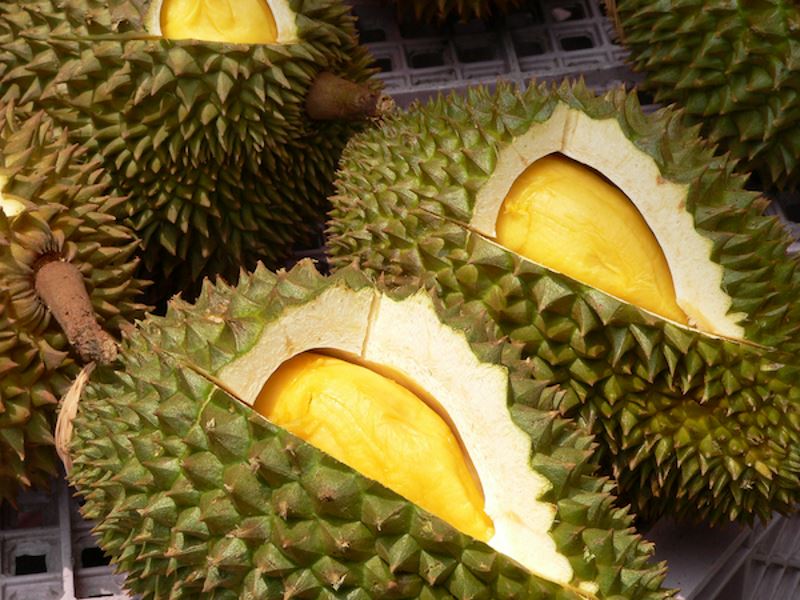 durian lovers, rejoice! the prices of premium durian are expected to dip in june