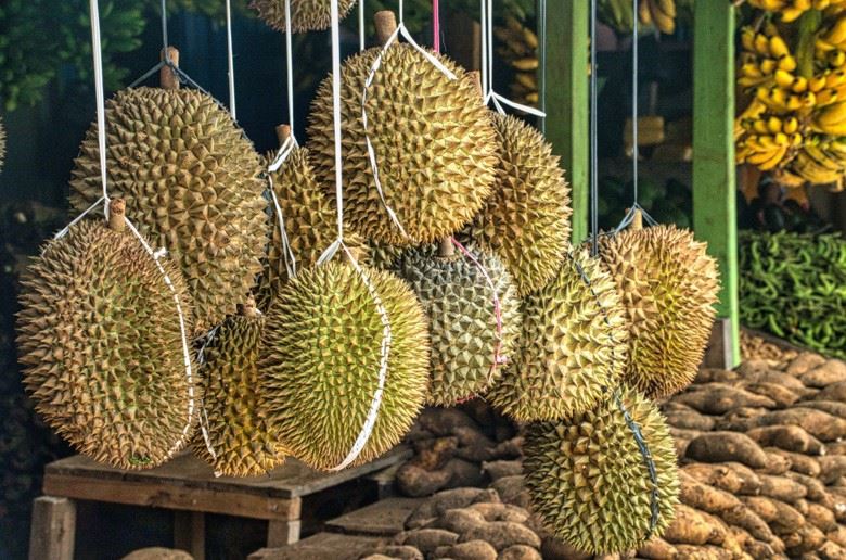 durian lovers, rejoice! the prices of premium durian are expected to dip in june