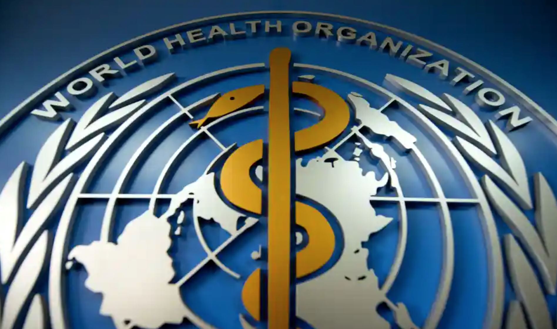 it’s unlikely that monkeypox will result in a pandemic, says the who