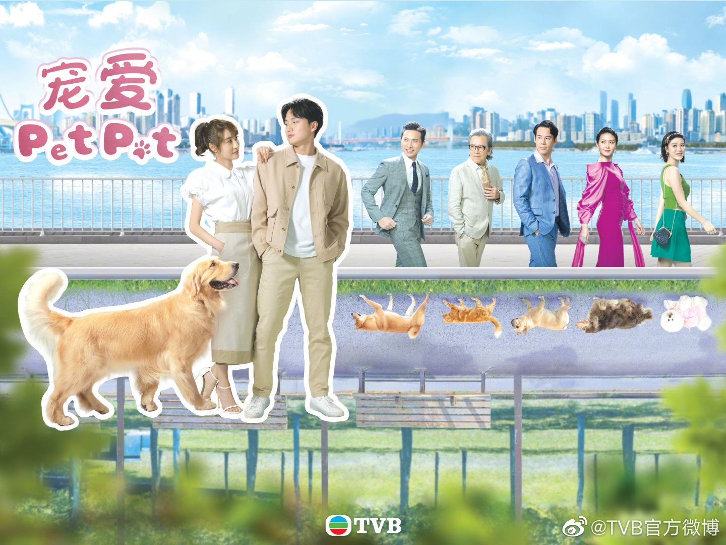 📺【无线节目巡礼】踏入55周年台庆❗️晒冷2023年开播的8部电视剧🔥